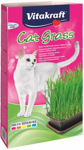 Vitakraft Cat Gras macskafű készlet