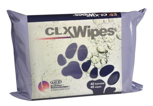 CLX Wipes törlőkendő 40db