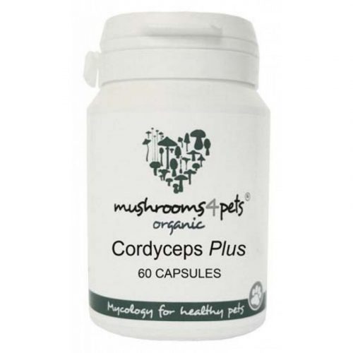 Cordyceps Plus 500mg 60db