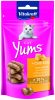 Vitakraft Cat Yums sajtos 40g