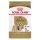 Royal Canin Shih Tzu Adult 500g - kutya száraztáp