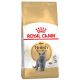 Royal Canin British Shorthair Adult 400g - macska száraztáp