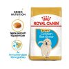 Royal Canin Golden Retriever Puppy 3kg - kutya száraztáp