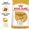 Royal Canin Jack Russell Terrier Adult 1,5kg - kutya száraztáp