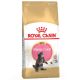 Royal Canin Maine Coon Kitten 2kg - macska száraztáp