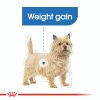 Royal Canin Mini Light Weight Care 8kg - kutya száraztáp