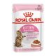 Royal Canin Kitten Sterilized Gravy alutasakos 85g - macska tasakos