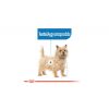 Royal Canin Light Weight Care dog alutasakos 85g - kutya alutasakos