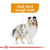 Royal Canin Coat Beauty Care 85g - nedves kutya táp