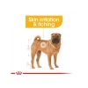 Royal Canin Medium Dermacomfort 3kg - kutya száraztáp