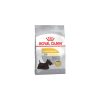 Royal Canin Mini Dermacomfort 1kg - kutya száraztáp