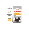 Royal Canin Mini Dermacomfort 1kg - kutya száraztáp