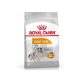 Royal Canin Mini Coat Care 1kg - kutya száraztáp