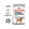 Royal Canin Mini Dental Care 1kg - kutya száraztáp