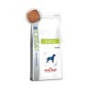 Royal Canin Diabetic Canine 1.5kg - kutya száraztáp