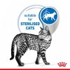 Royal Canin Indoor Sterilised Gravy 85g - macska alutasakos