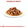 Royal Canin Kitten Gravy alutasakos 85g - macska tasakos