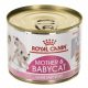 Royal Canin Mother & Babycat konzerv 195g - macska konzerv