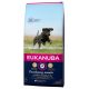 Eukanuba Junior Large 15kg